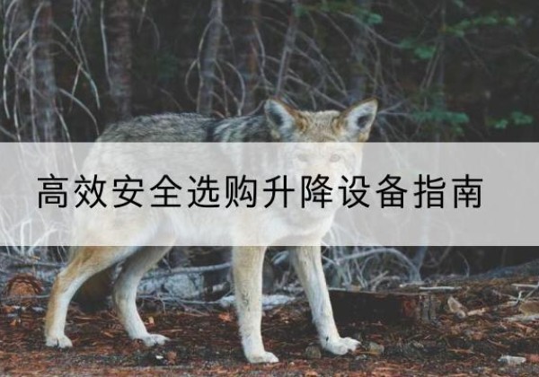 剑川升降货梯厂家推荐-*安全选购升降设备指南