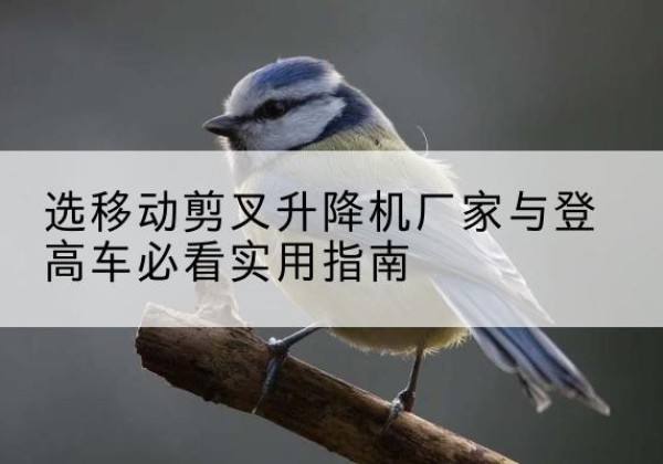 剑川电动升降机厂家-选移动剪叉升降机厂家与登高车必看实用指南
